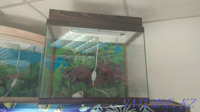 3-room apartment Almaty - photo 5