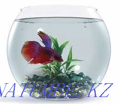 3-room apartment Almaty - photo 2