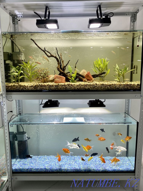 3-room apartment Astana - photo 5