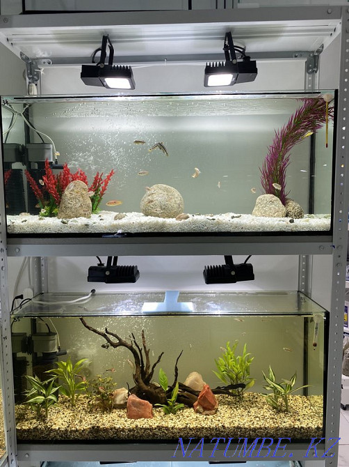 3-room apartment Astana - photo 4