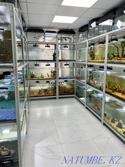 3-room apartment Astana - photo 1