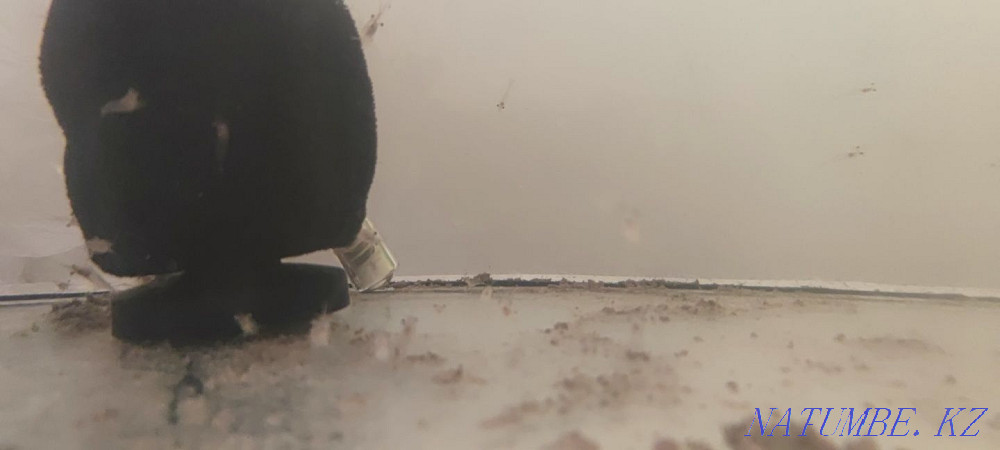 3-комнатная квартира Алматы - изображение 2