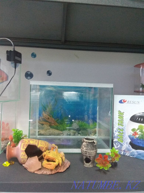 3-room apartment Almaty - photo 1