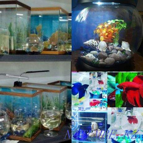 3-room apartment Almaty - photo 3