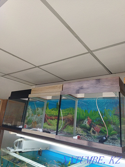 3-room apartment Almaty - photo 3