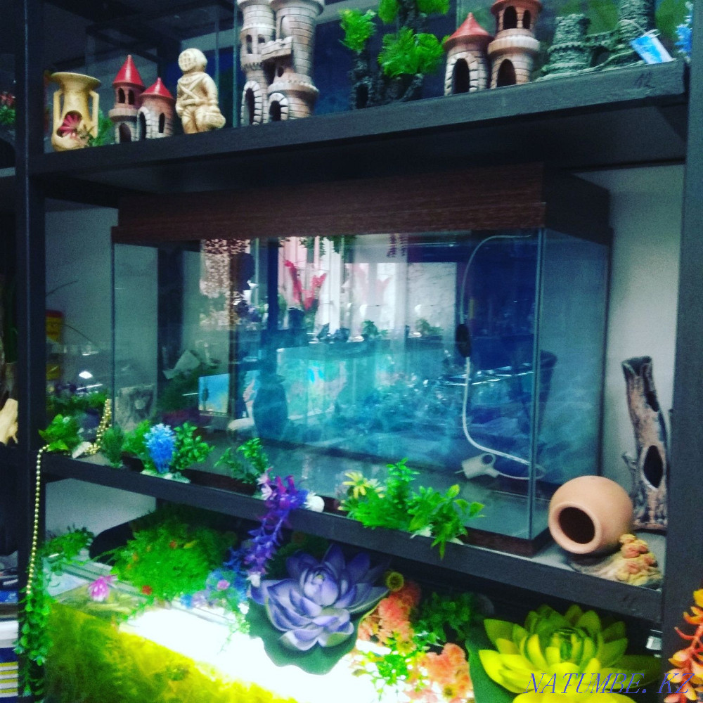 3-room apartment Almaty - photo 2