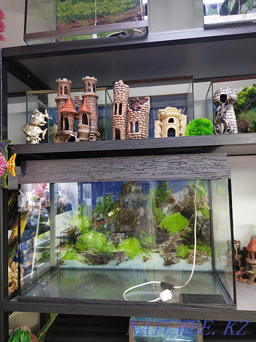 3-room apartment Almaty - photo 1