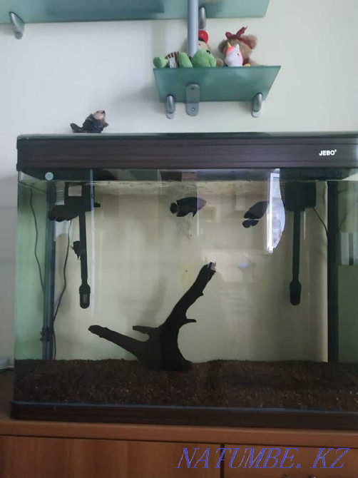 3-комнатная квартира Алматы - изображение 2