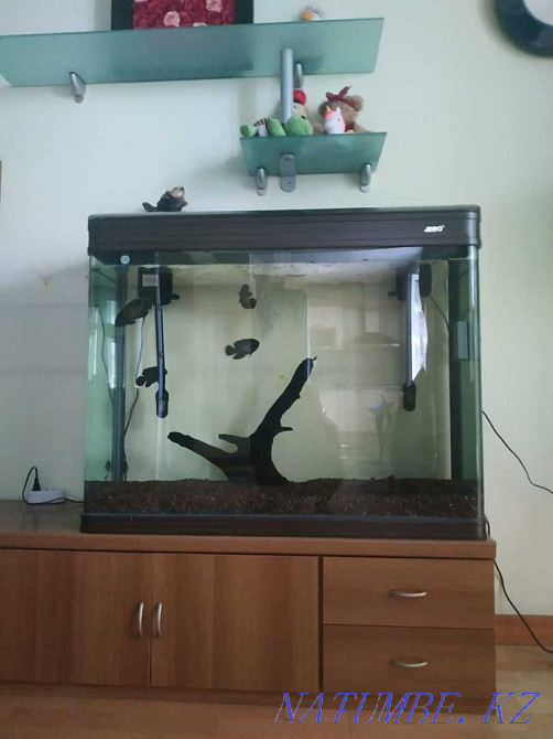 3-комнатная квартира Алматы - изображение 1