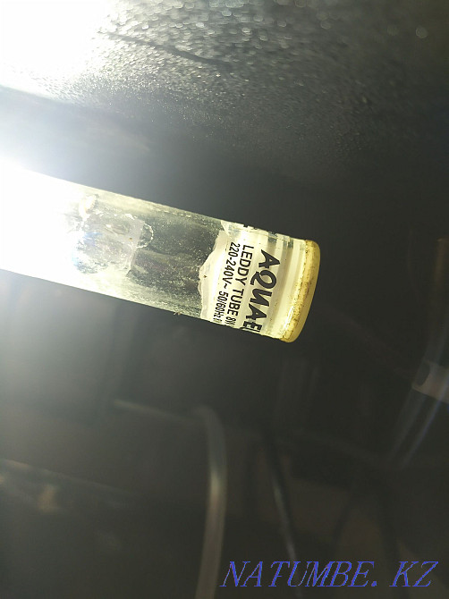 3-room apartment  - photo 5