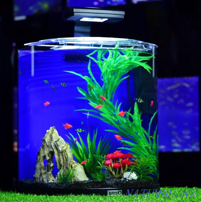 3-комнатная квартира Алматы - изображение 5