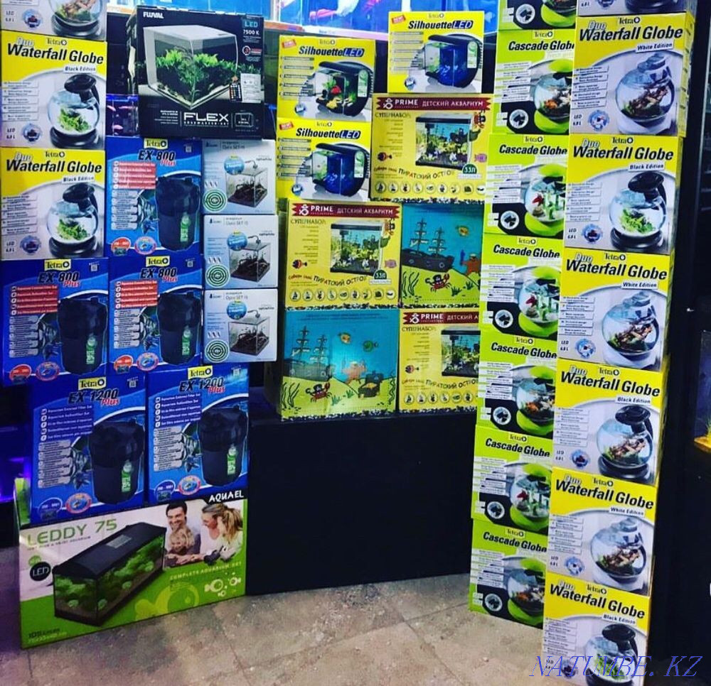 3-комнатная квартира Алматы - изображение 2