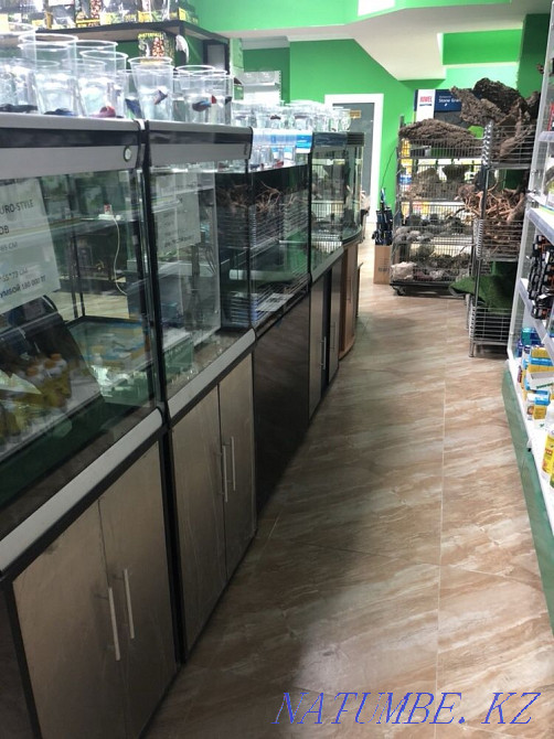 3-комнатная квартира Алматы - изображение 4