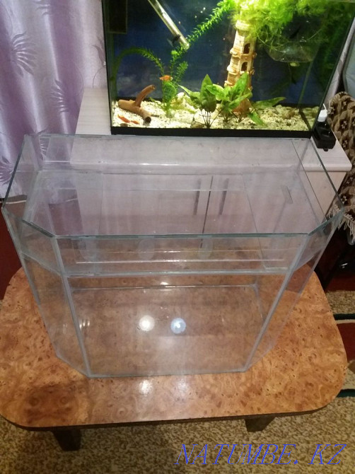 3-room apartment Petropavlovsk - photo 2