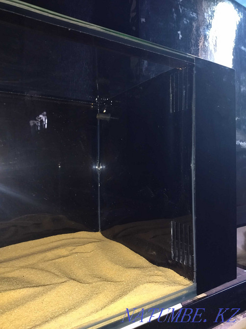 3-комнатная квартира Шымкент - изображение 3