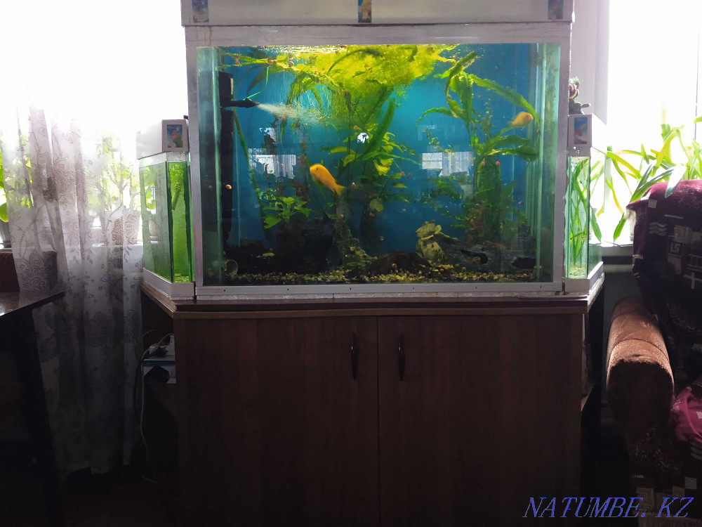 3-комнатная квартира Алматы - изображение 1