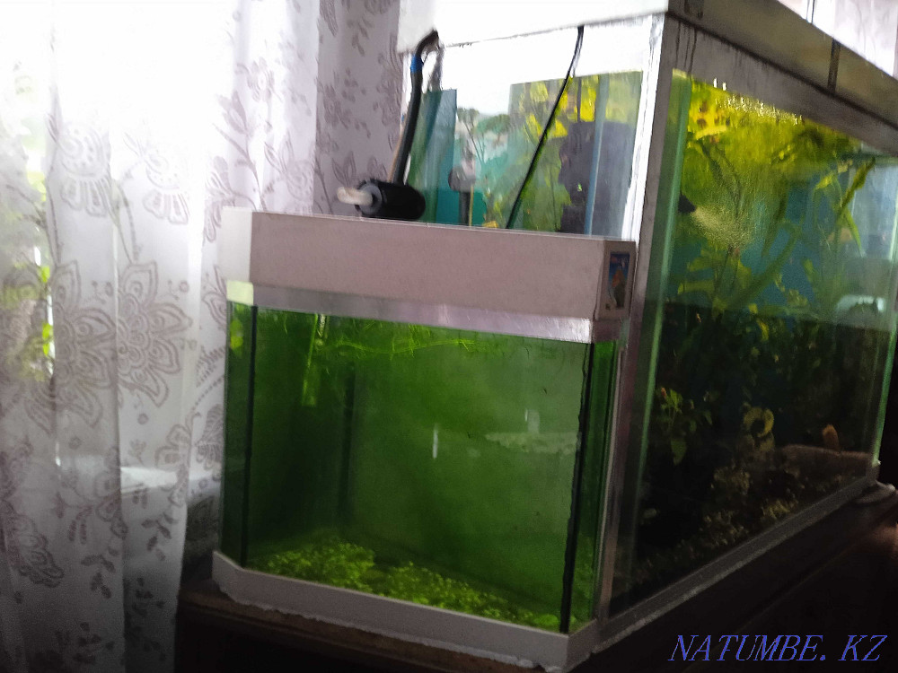 3-комнатная квартира Алматы - изображение 3