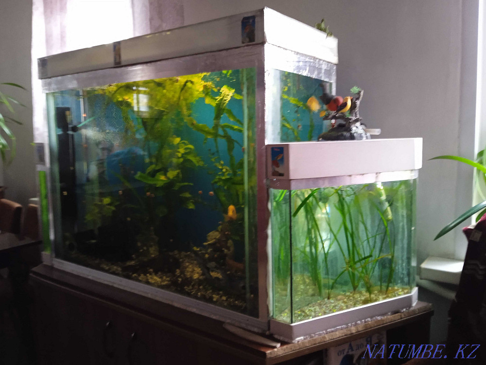 3-комнатная квартира Алматы - изображение 2