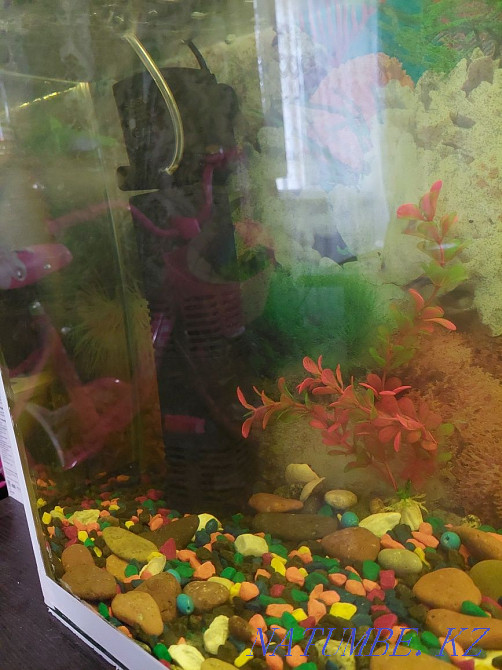 3-room apartment Temirtau - photo 3