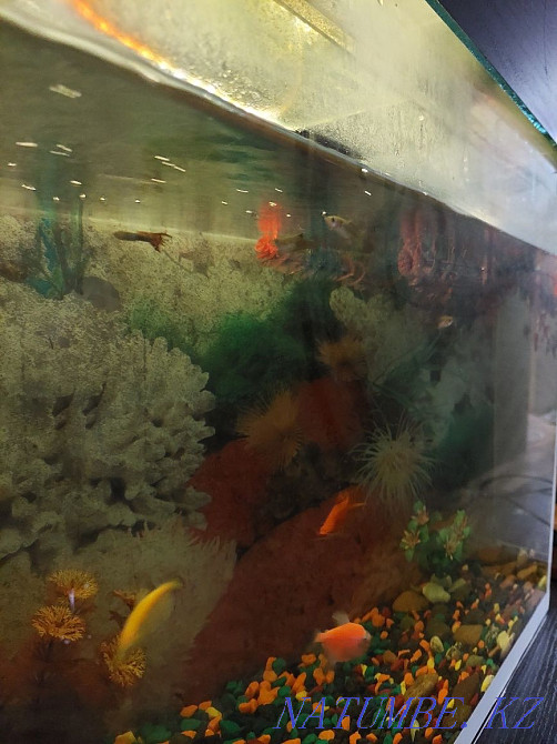 3-room apartment Temirtau - photo 4