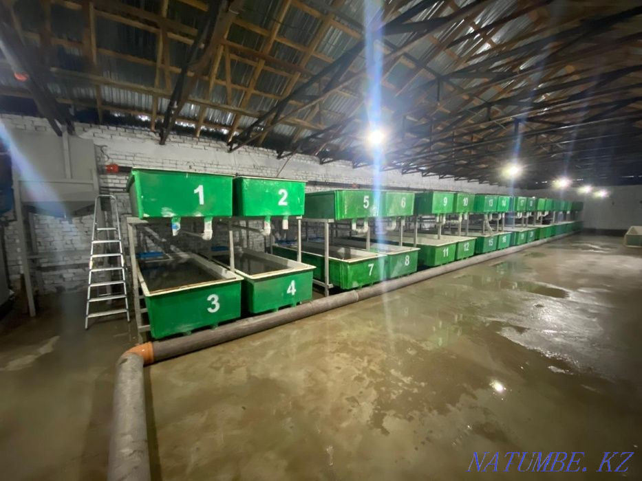 3-комнатная квартира Алматы - изображение 7