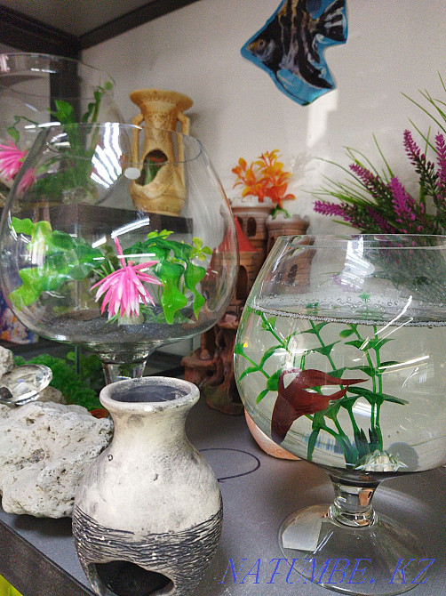 3-room apartment Almaty - photo 2