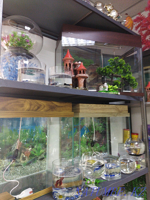 3-room apartment Almaty - photo 5