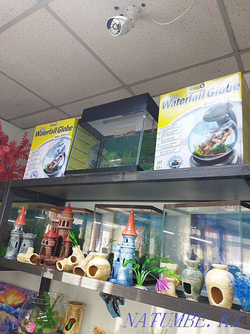 3-room apartment Almaty - photo 4