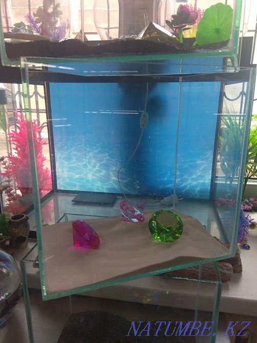 3-room apartment Almaty - photo 4