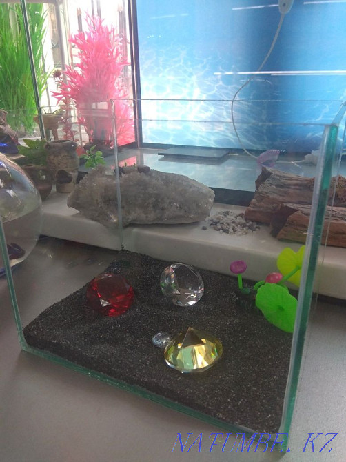 3-room apartment Almaty - photo 1