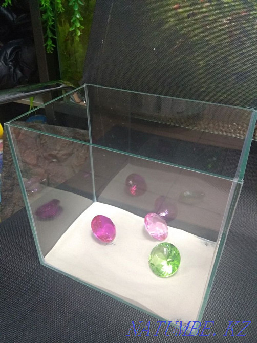 3-room apartment Almaty - photo 5