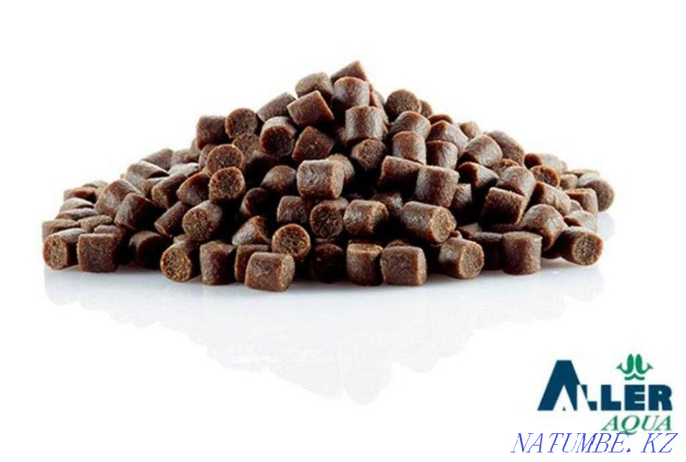 3-комнатная квартира Алматы - изображение 4