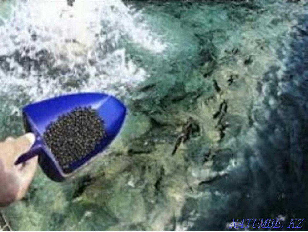 3-комнатная квартира Алматы - изображение 2