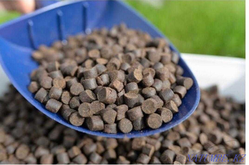 3-комнатная квартира Алматы - изображение 3