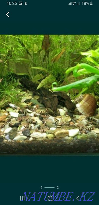 3 бөлмелі пәтер  Ақтөбе  - изображение 1