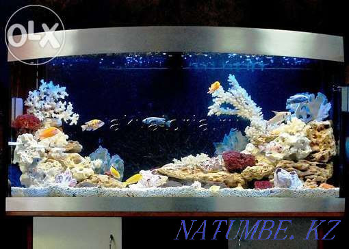 3-room apartment Karagandy - photo 4