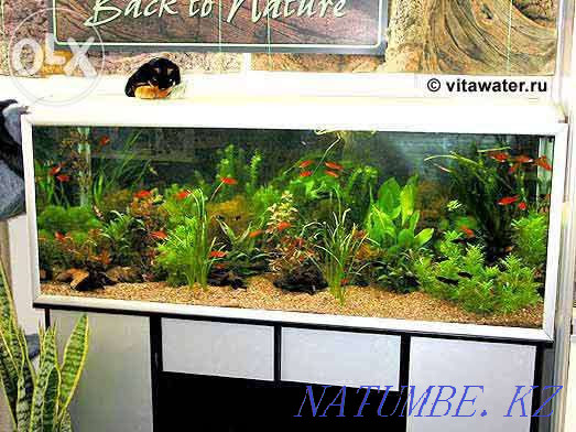 3-room apartment Karagandy - photo 3