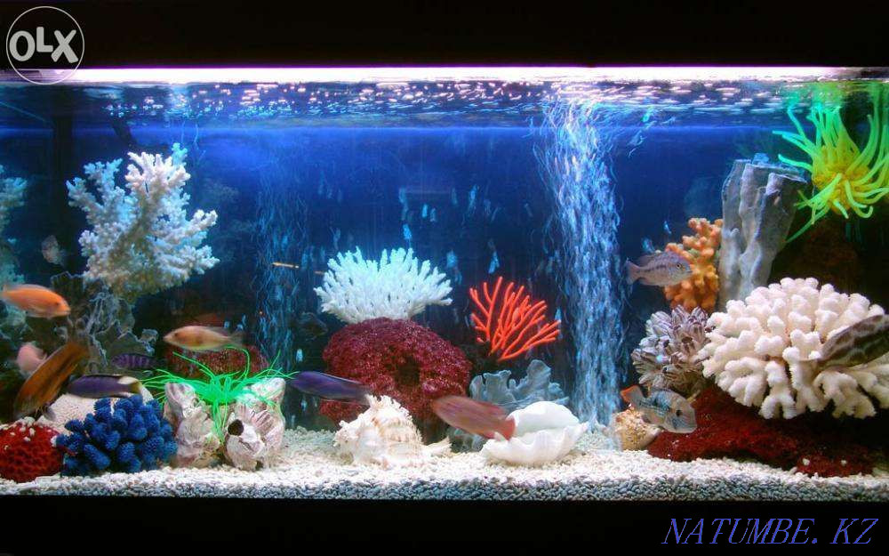 3-room apartment Karagandy - photo 1