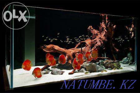 3-room apartment Karagandy - photo 2