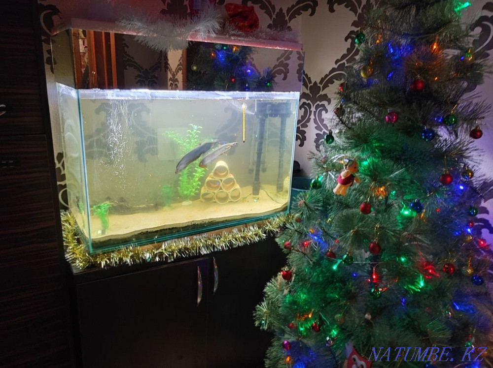 3-room apartment Pavlodar - photo 1