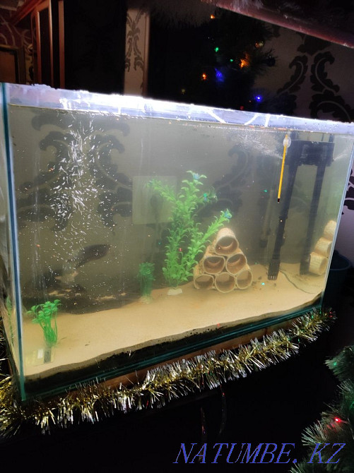 3-room apartment Pavlodar - photo 2