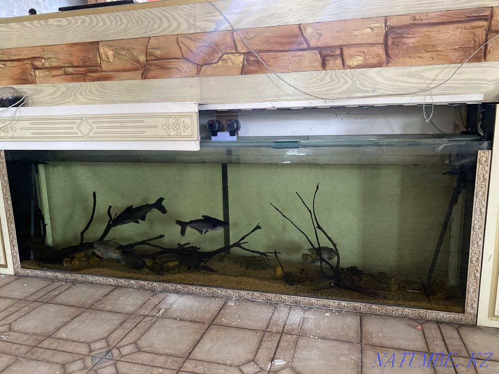 3-room apartment Almaty - photo 1