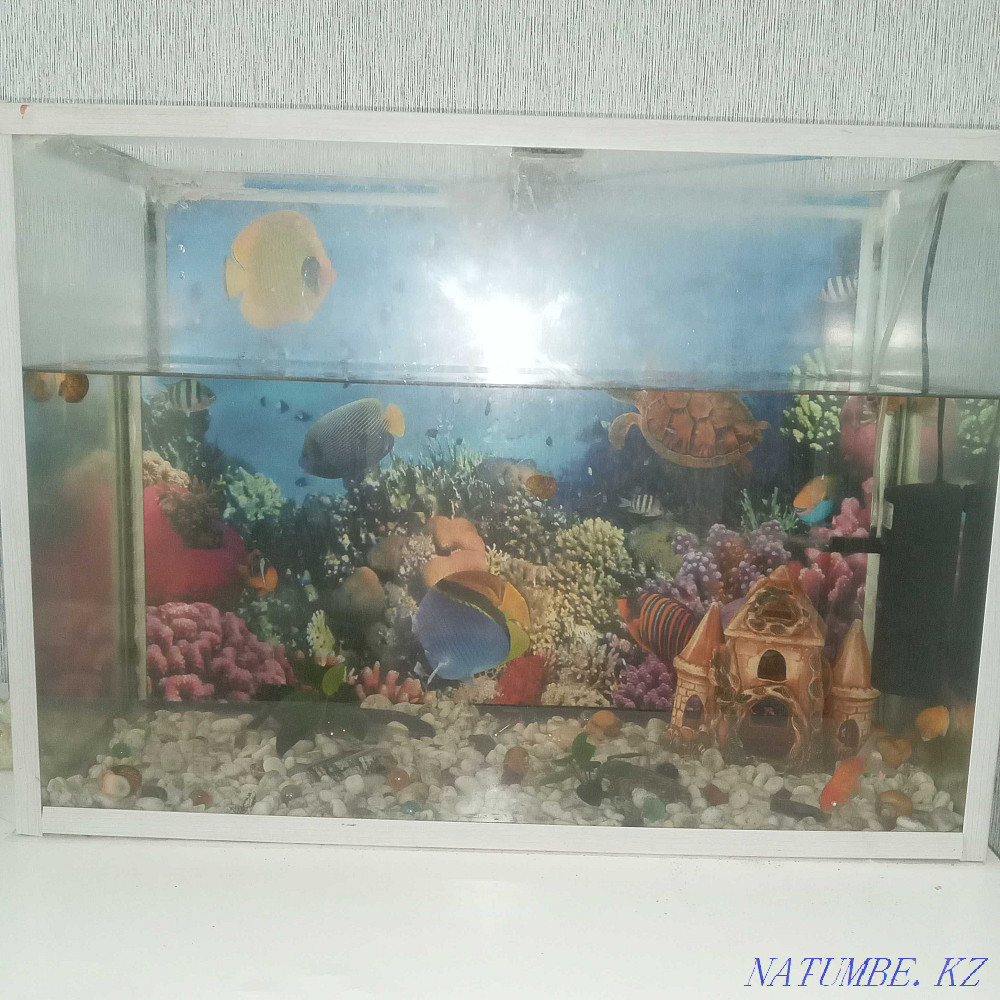 3-комнатная квартира Усть-Каменогорск - изображение 1