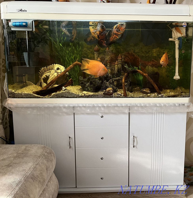 3-комнатная квартира Шымкент - изображение 1