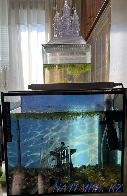 3-комнатная квартира Шымкент - изображение 4