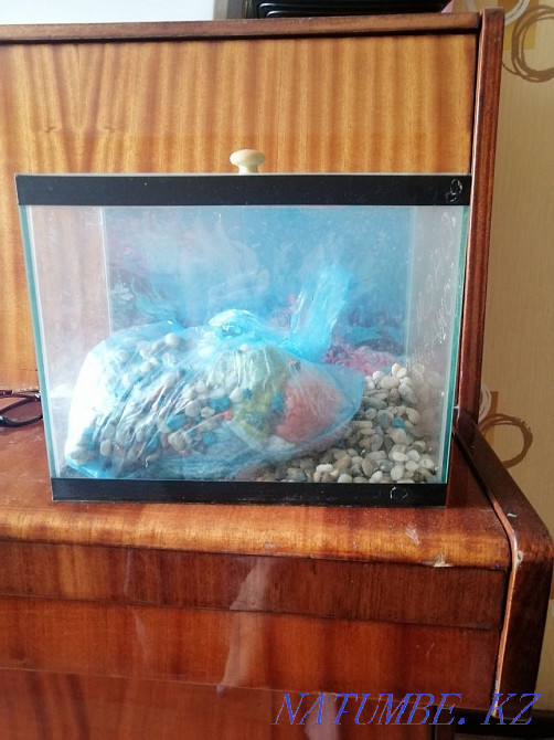 3-room apartment Temirtau - photo 1