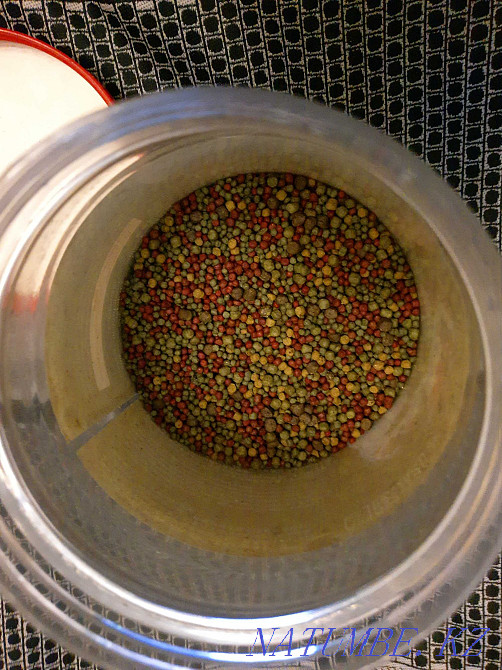 3-room apartment Almaty - photo 3