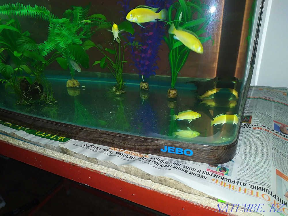 3-room apartment Almaty - photo 8