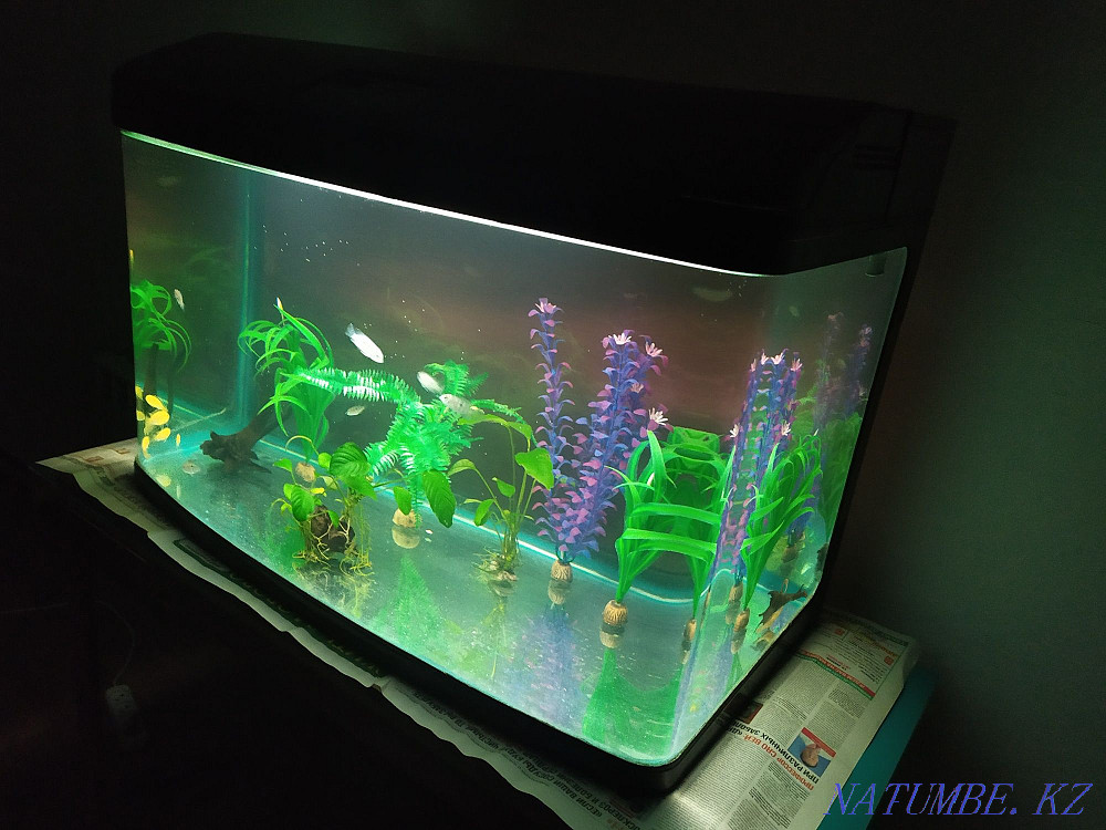 3-room apartment Almaty - photo 5