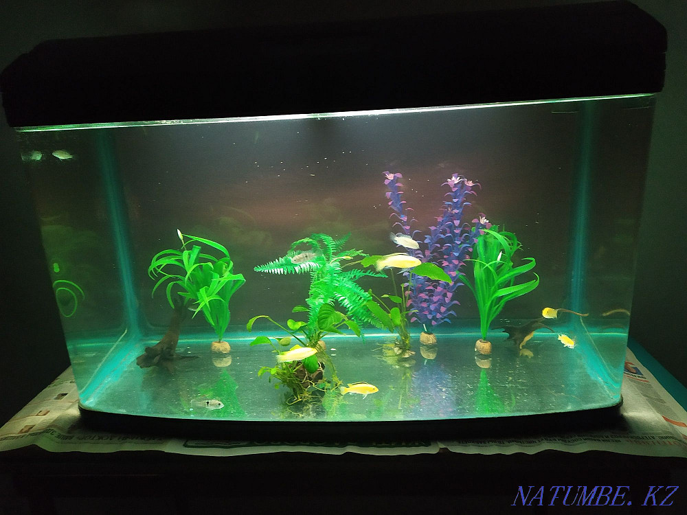 3-room apartment Almaty - photo 2